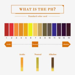 pH Test Strips 0-14 Scale
